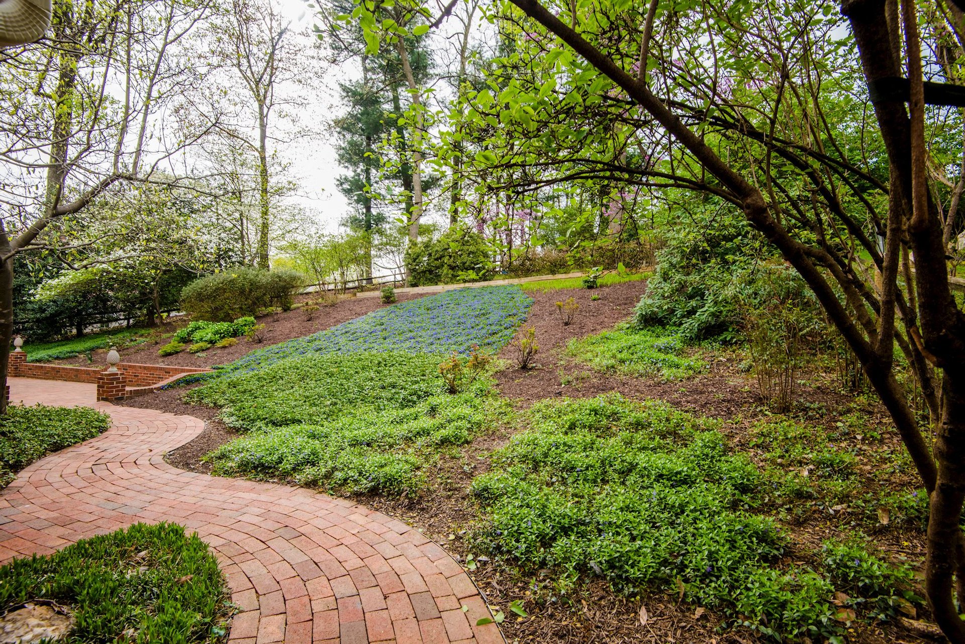 7723 Desdemona Court