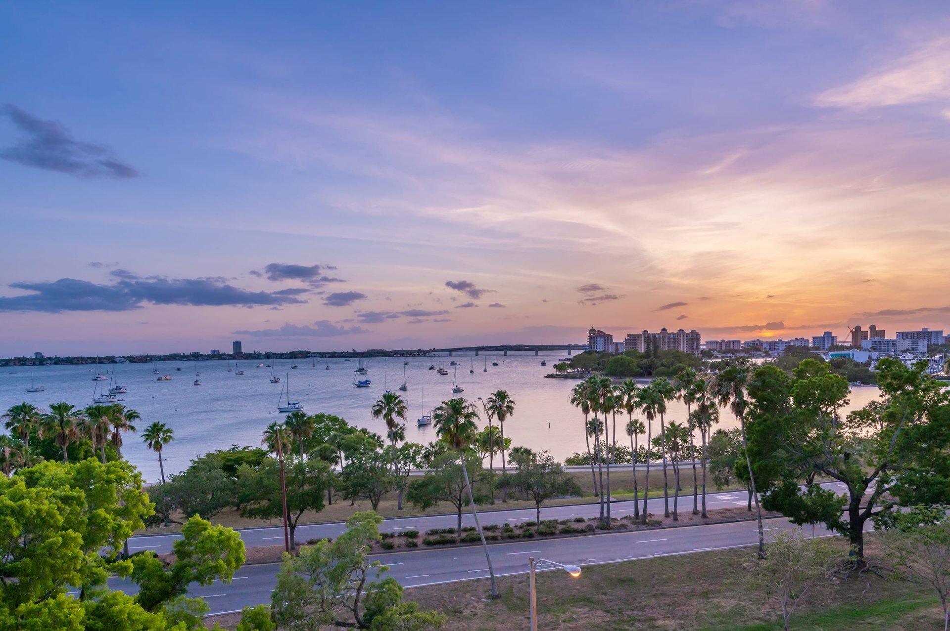 624 Palm