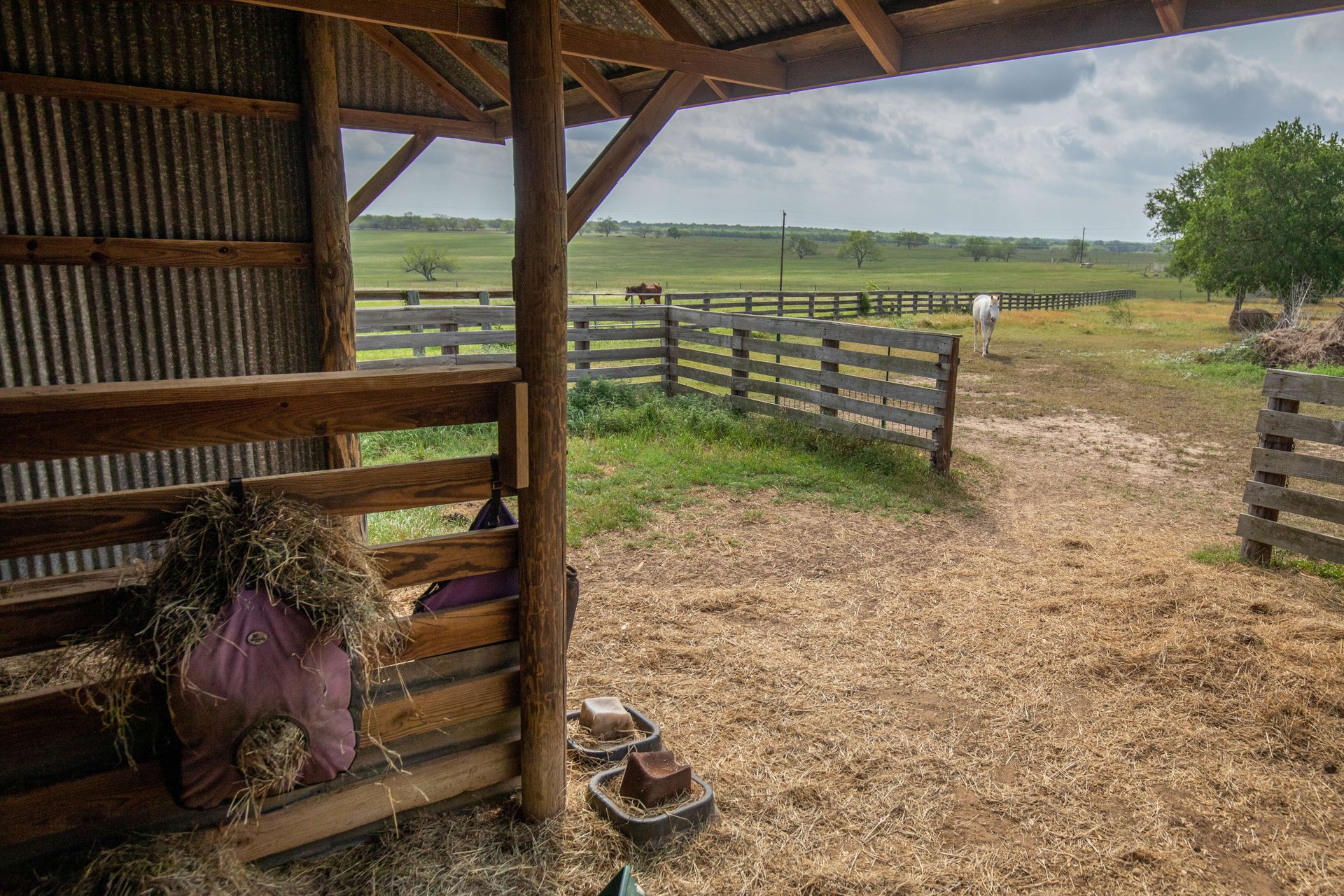 Gorgeous 98.5 Acre Horse Property PLUS           4900 Sq Ft Home