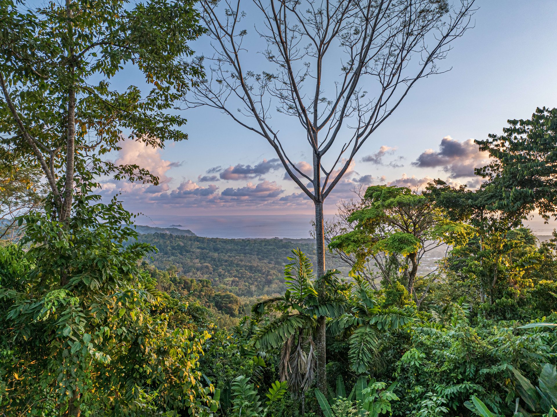 Dramatic Whale's Tail Ocean View 2 Bedroom Home Plus Guest House in Uvita!!