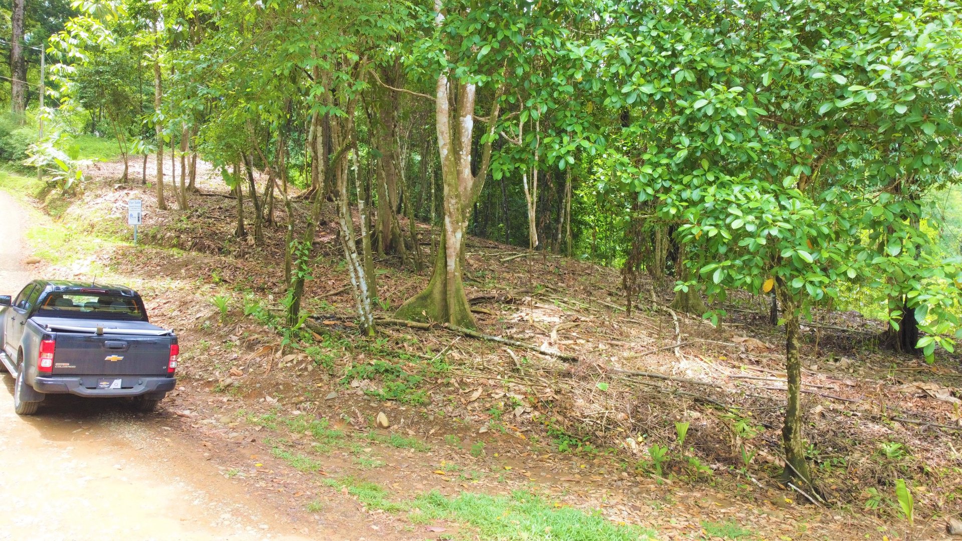 3.5 Acres of Paradise In Uvita, Jungle View!