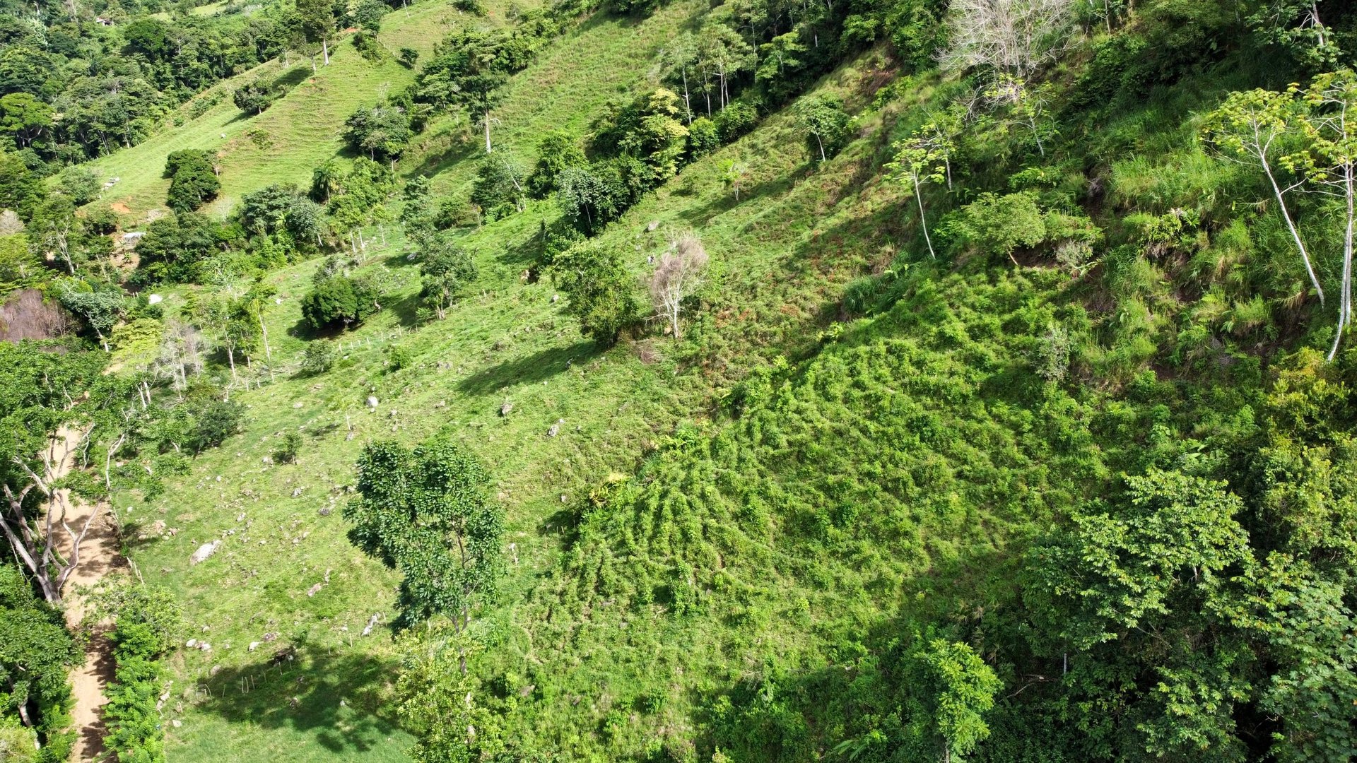 FIRE SALE!! Ocean View Farm in San Luis de Morete, Over 23 Acres