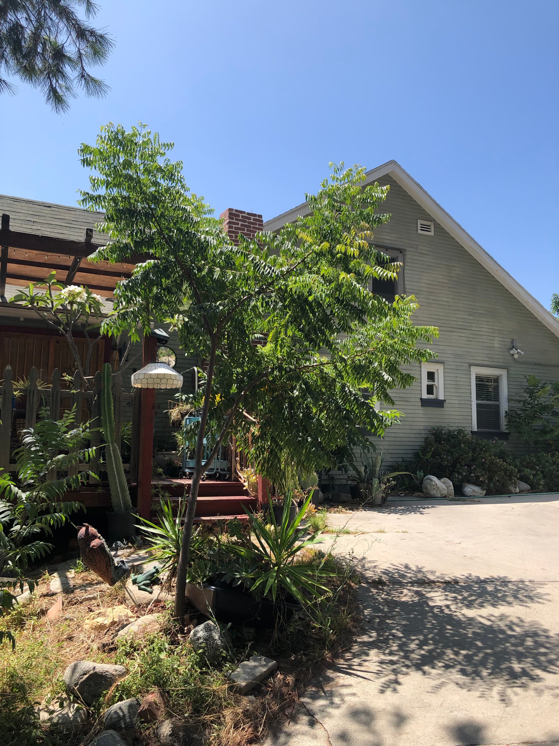 4519 Lowell Ave