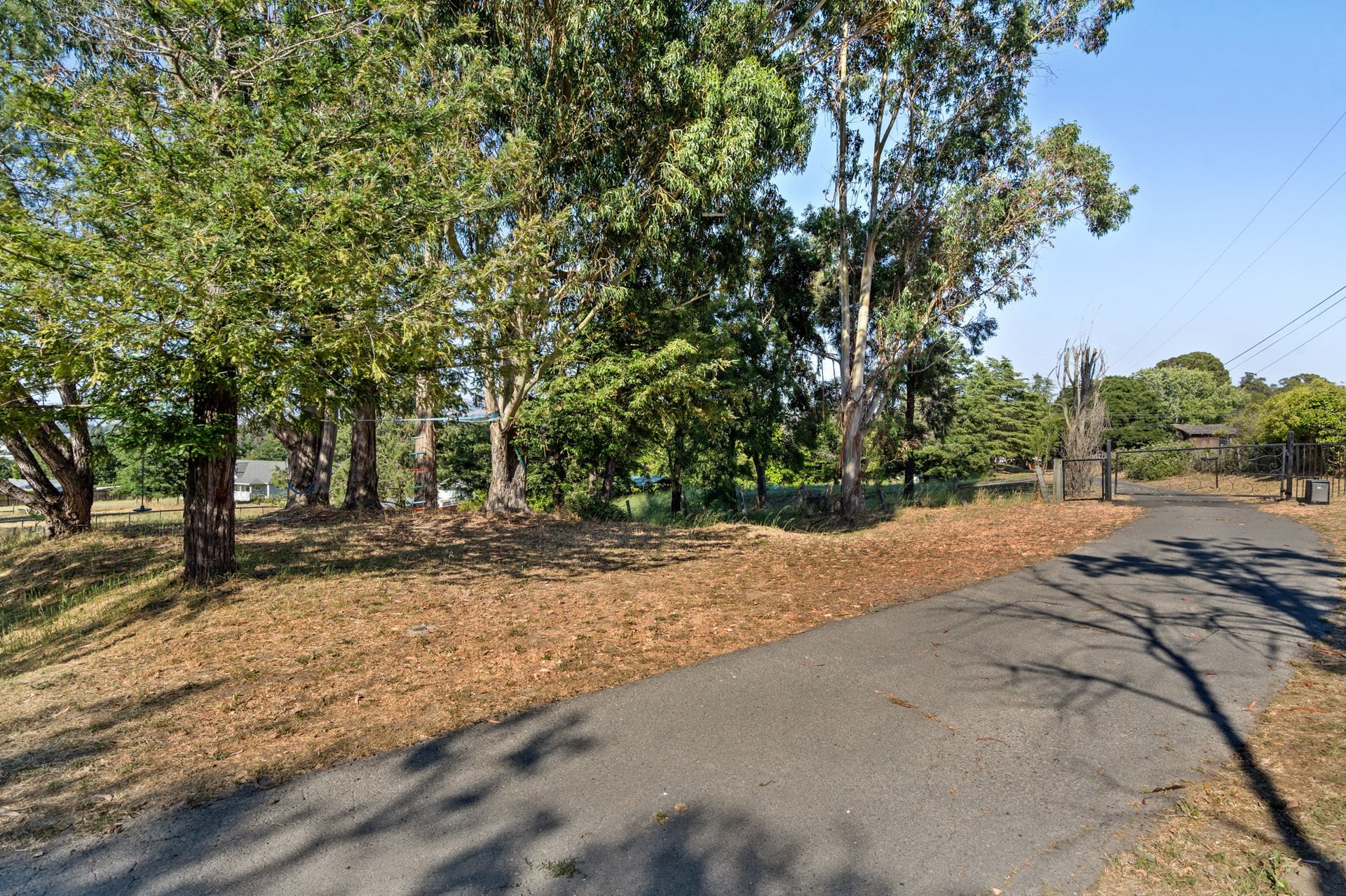 1819 Chapman Ln