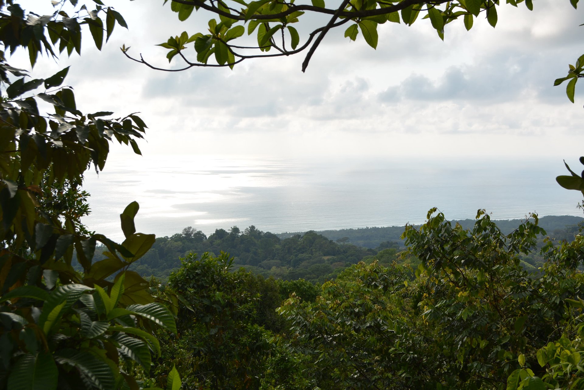 Lagunas 5 Lots 1 Acre+ Lagunas/Dominical