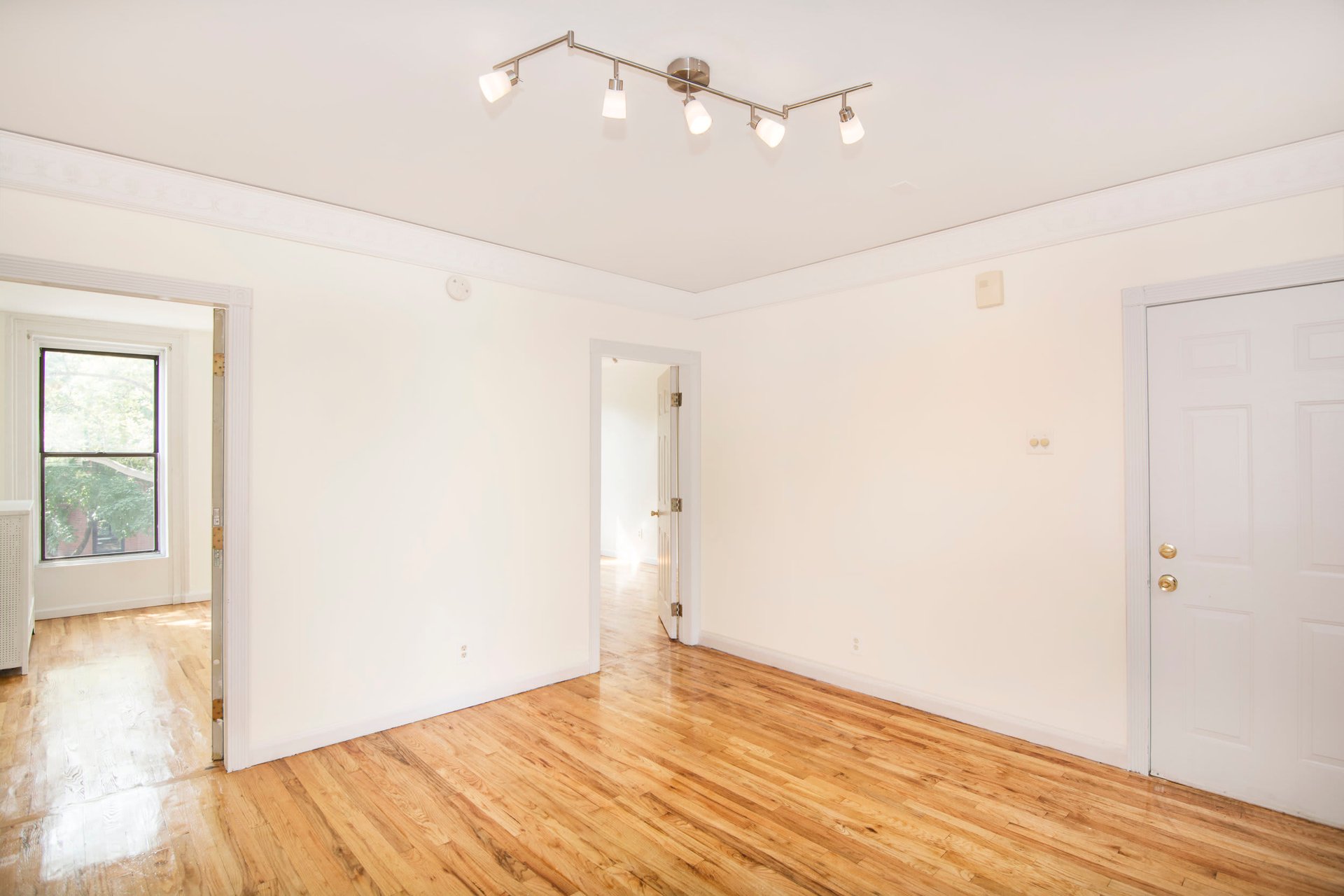217 Carlton Ave, Apt. 2