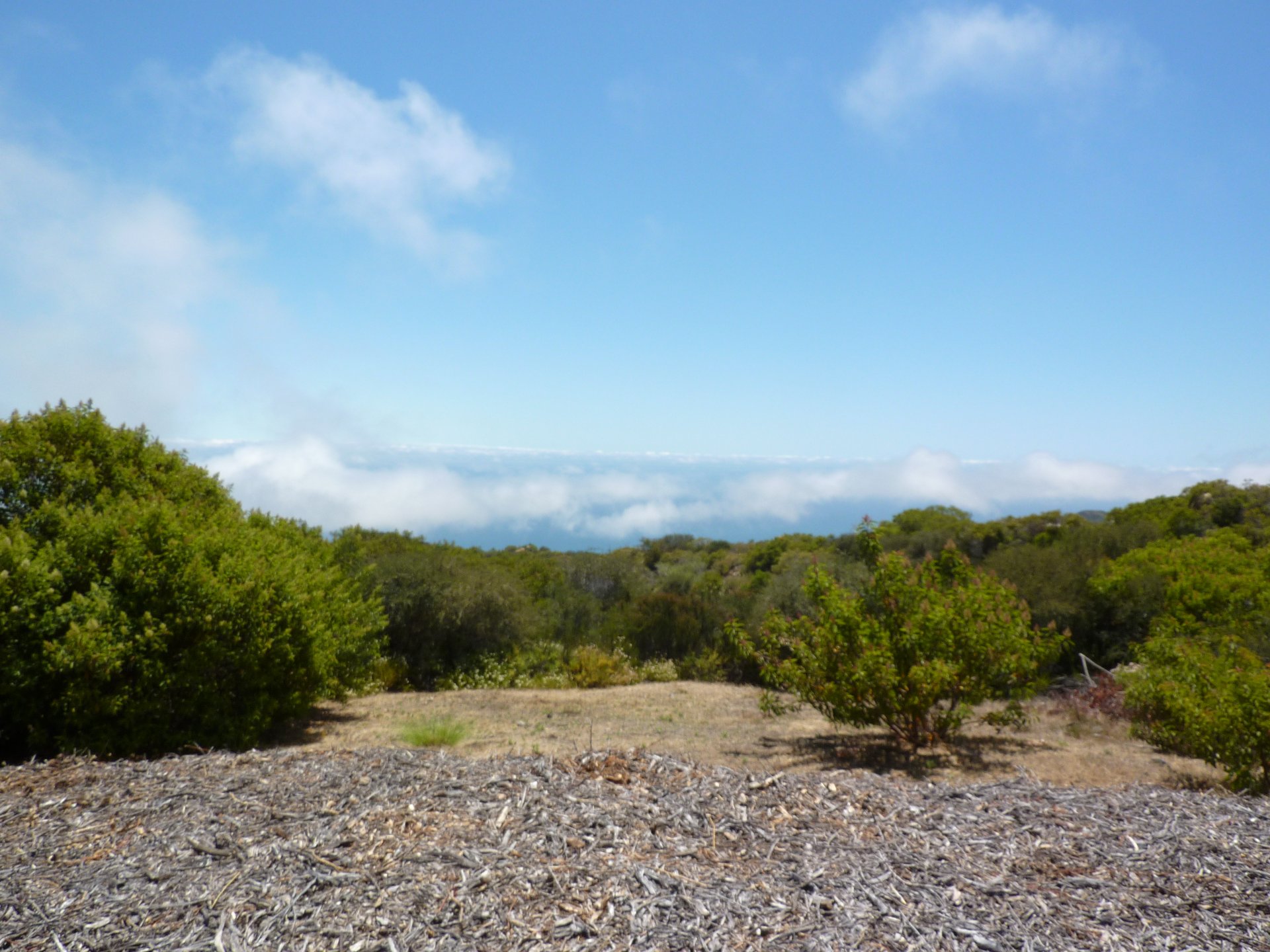 0 Little Las Flores Rd