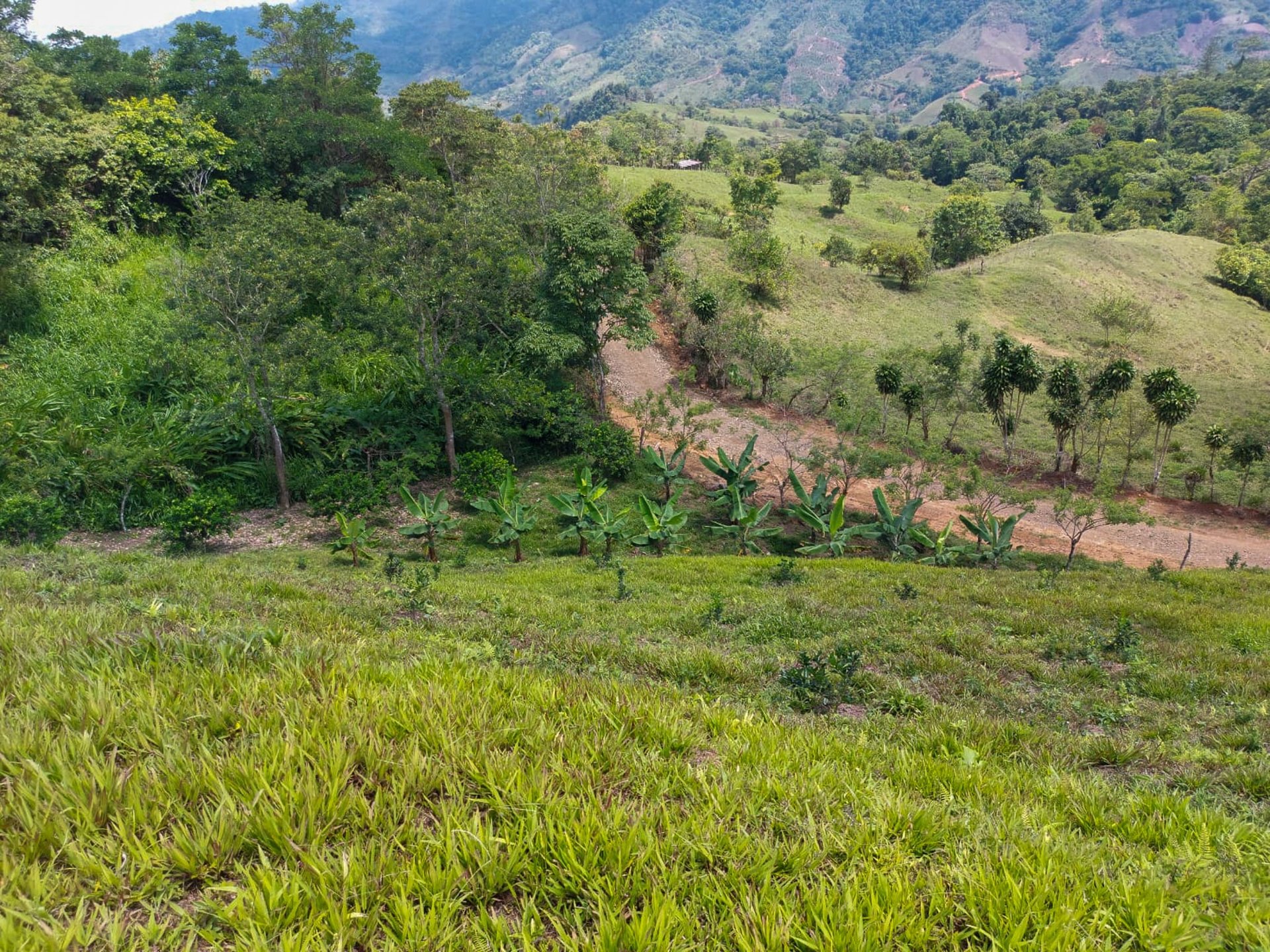 Ocean, Mountain and waterfall View Lot