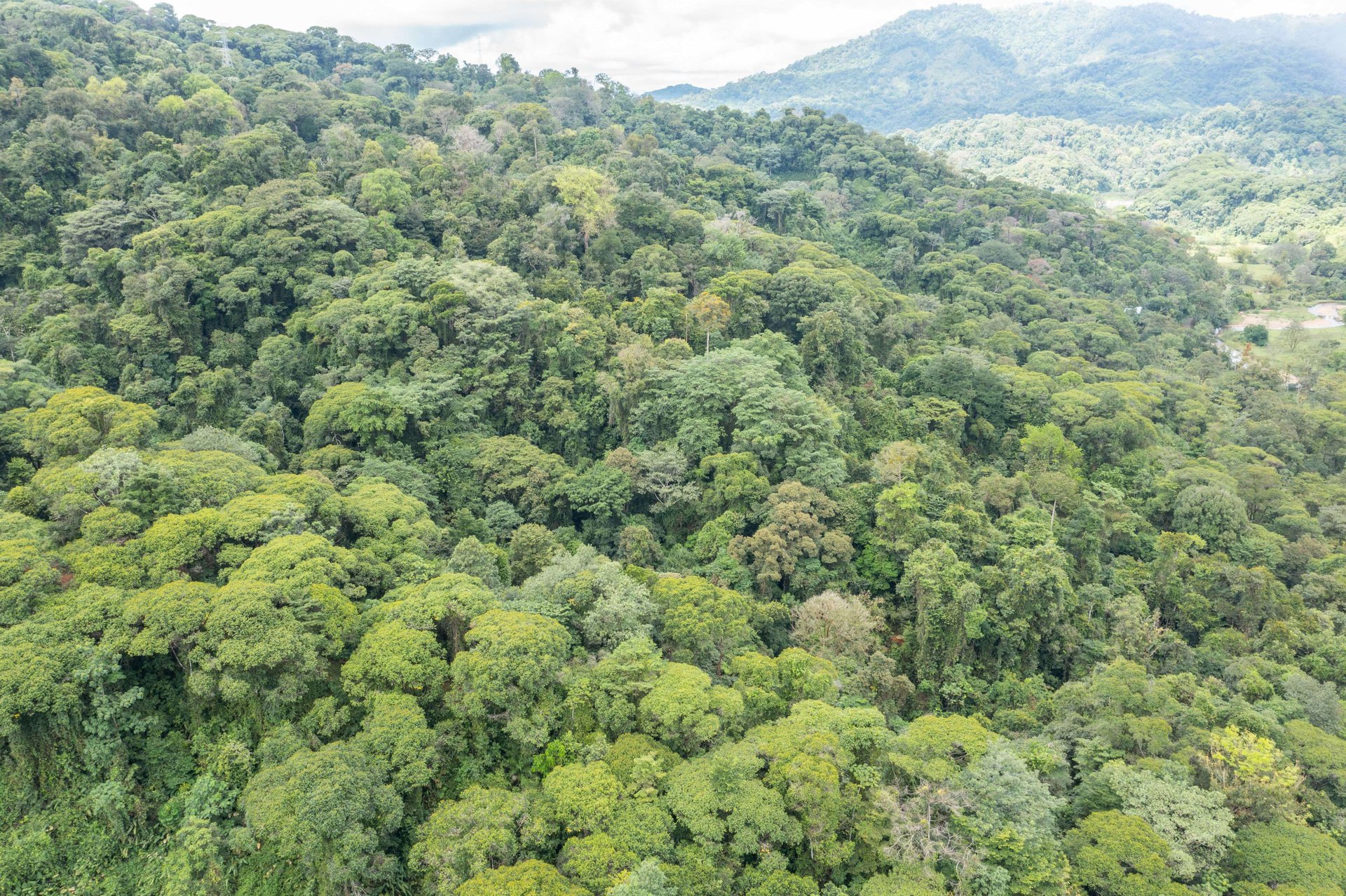 Mountain land with ocean view of Manuel Antonio/Quepos Quepos Puntarenas