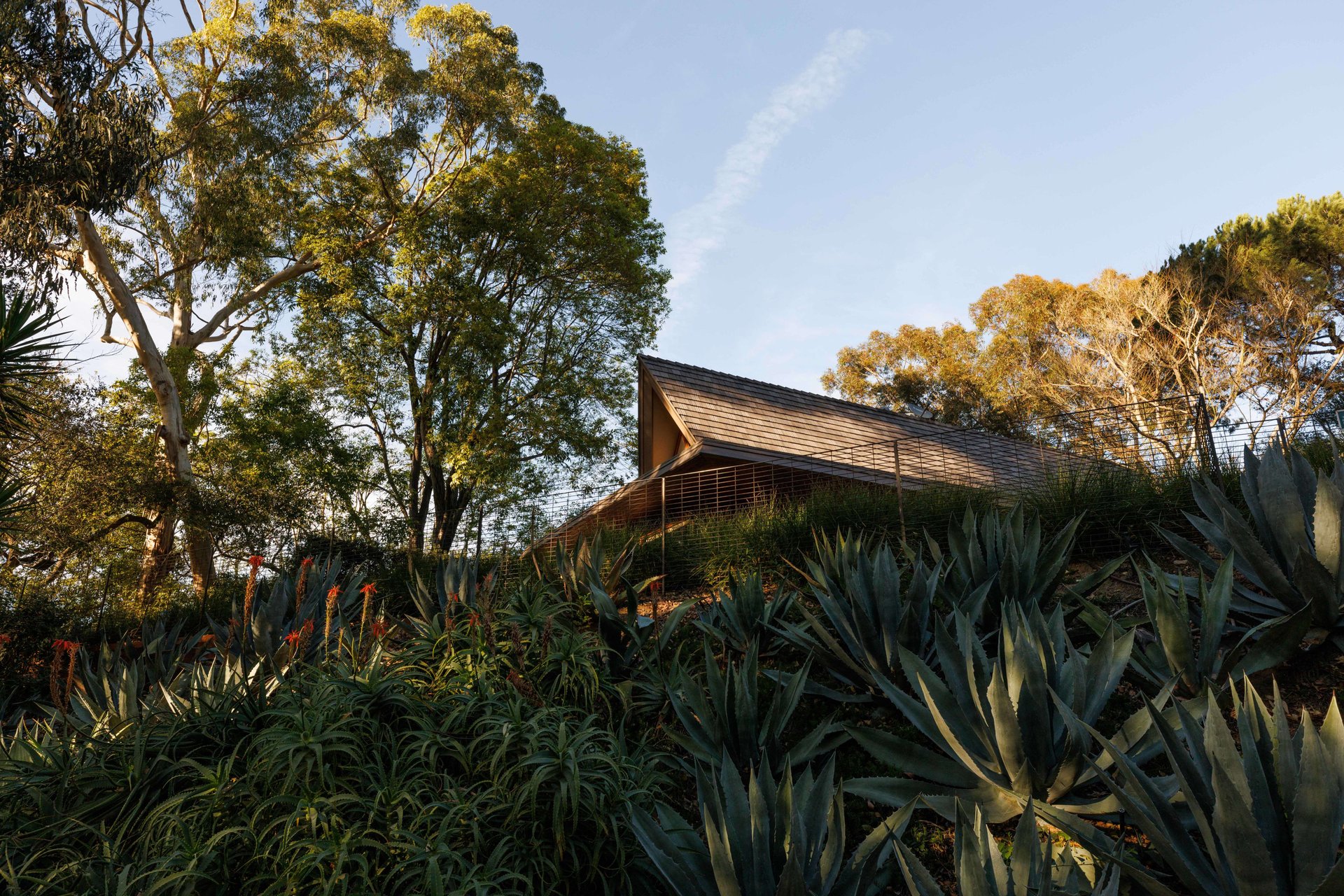 Mid-Century Masterpiece