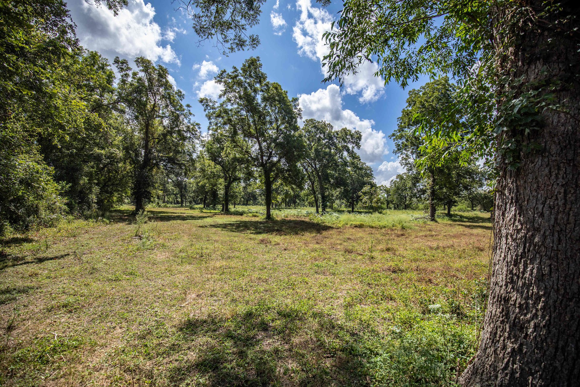Lovers Lane River Ranch | 140± Acres | DeWitt County