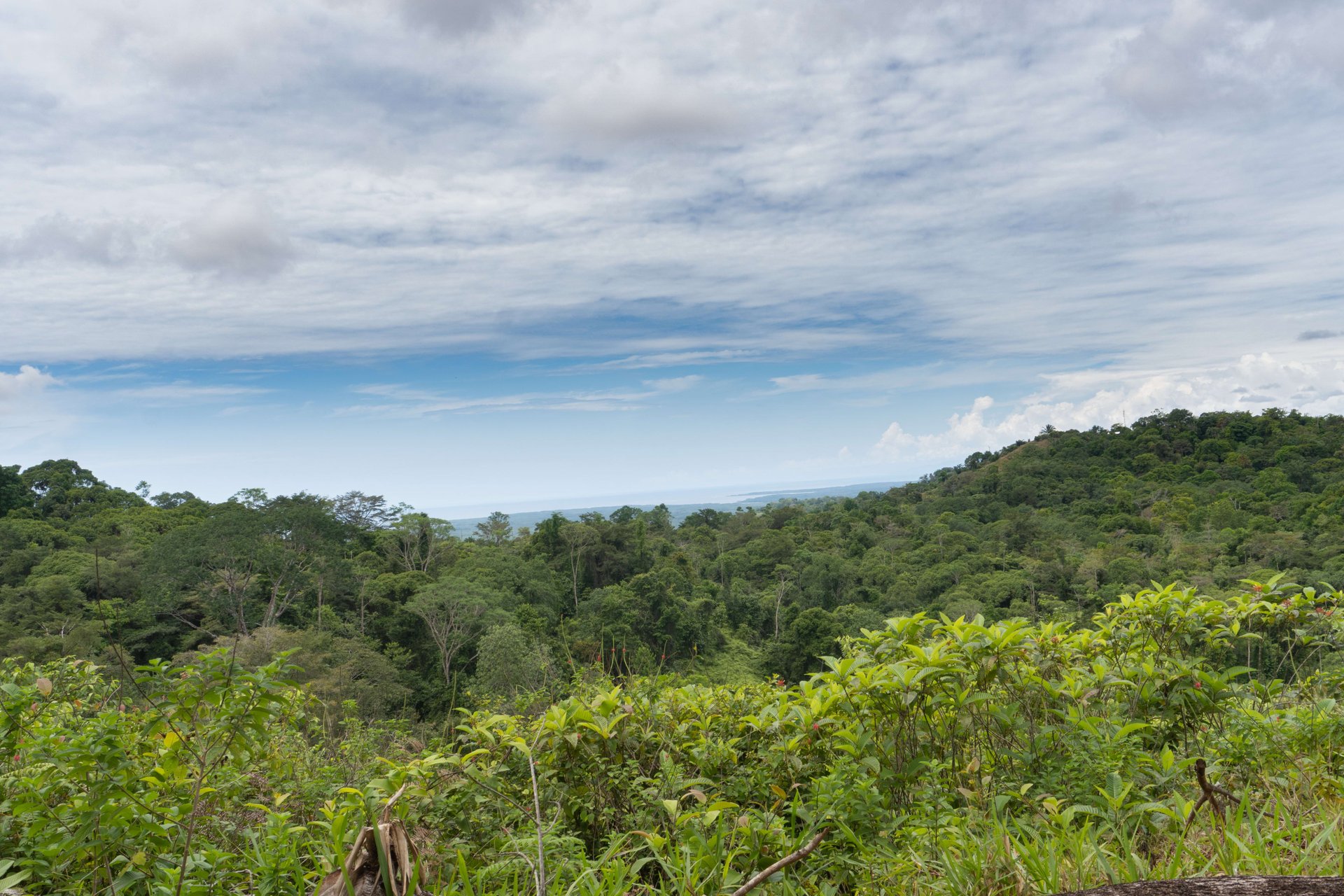Sierpe Sunset and Jungle Views, 10 Acre Property, OSA!