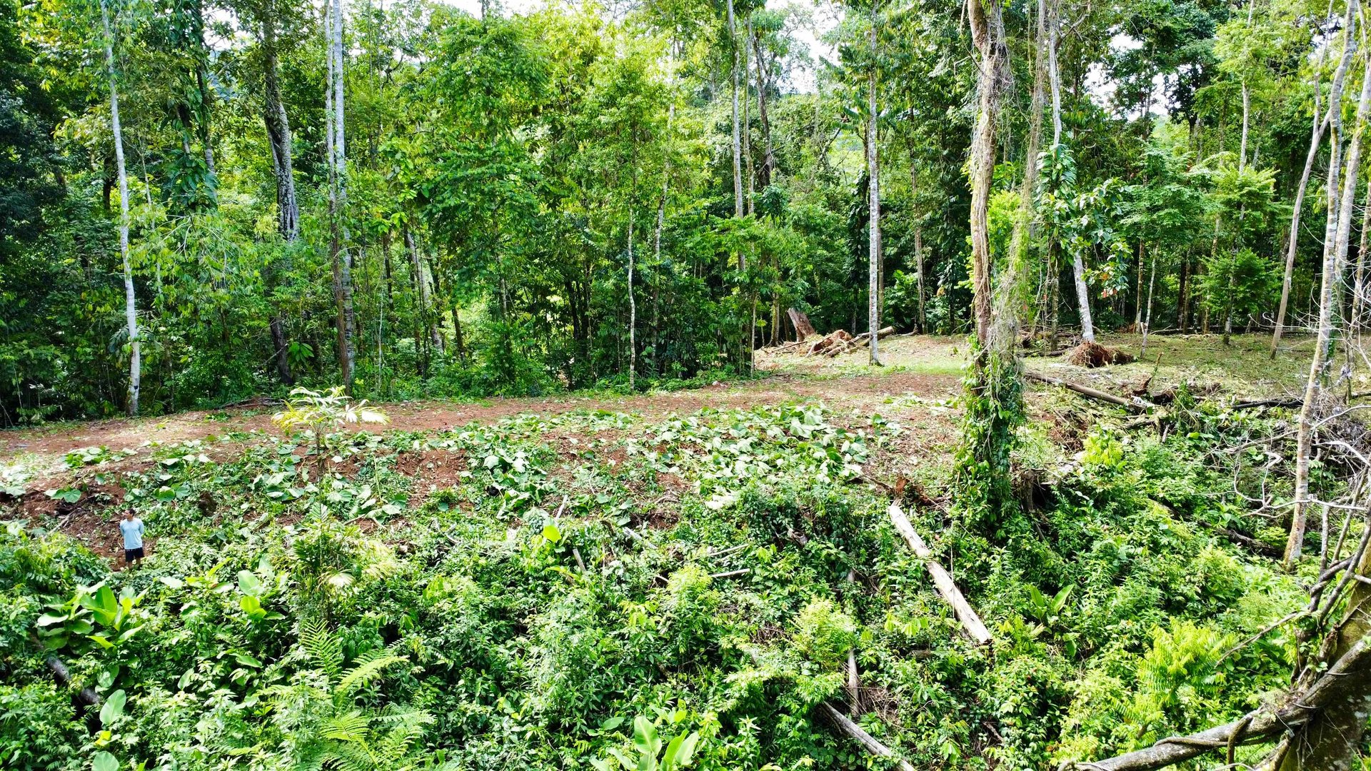 Marvelous Ocean View Parcel in Uvita.