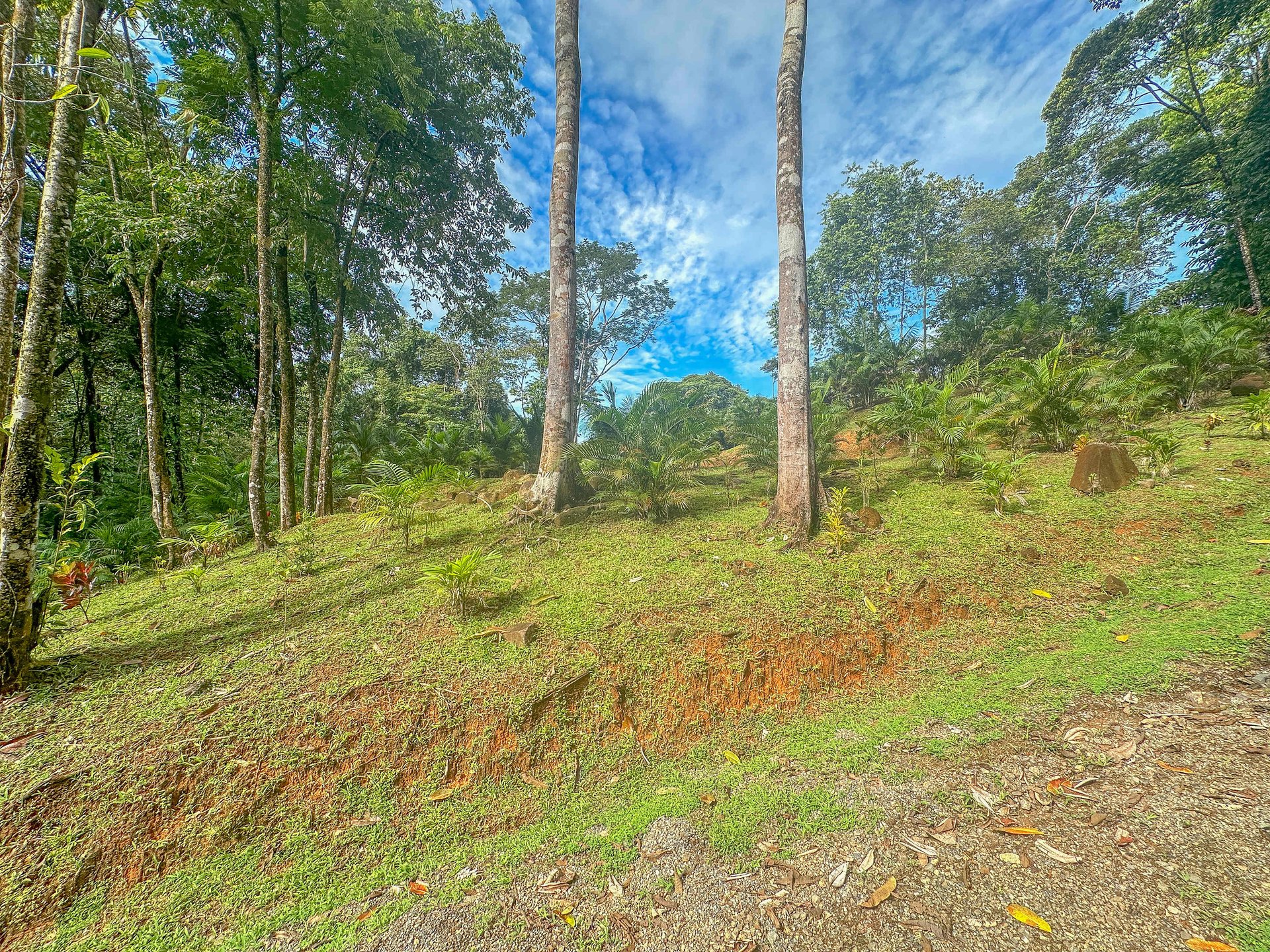 2-Bedroom Jungle Home with River, Waterfall & Pool on 3.8 Acres in Ojochal, Costa Rica