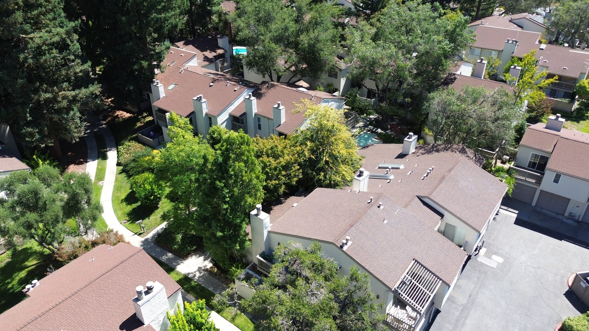 19203 Vineyard Lane
