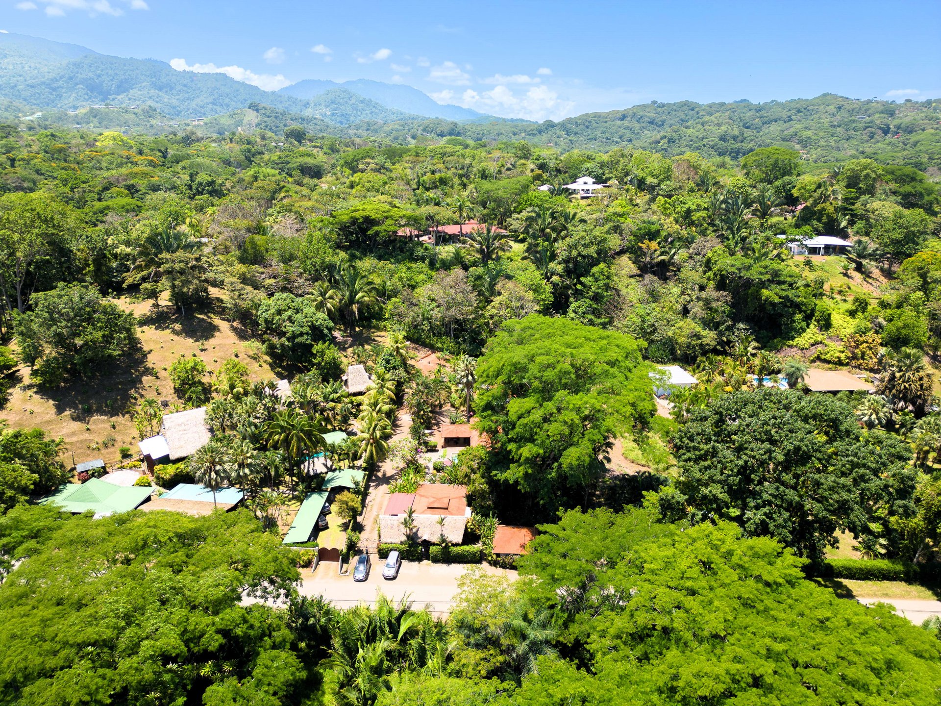 A MONEY MAKER! Location, home, guest cabins, with a SUCCE$$FUL exclusive distribution agency!