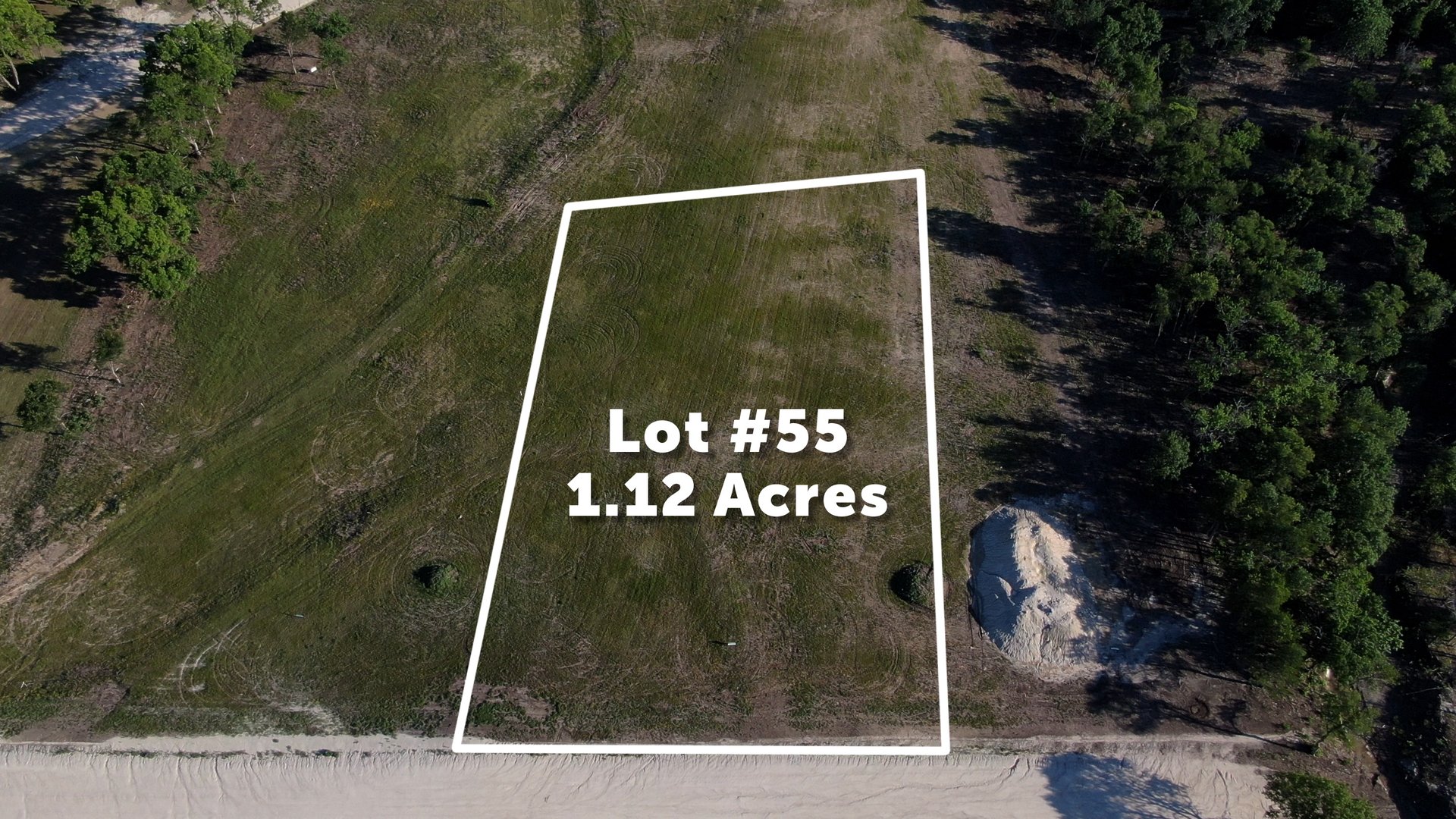 Lot 55