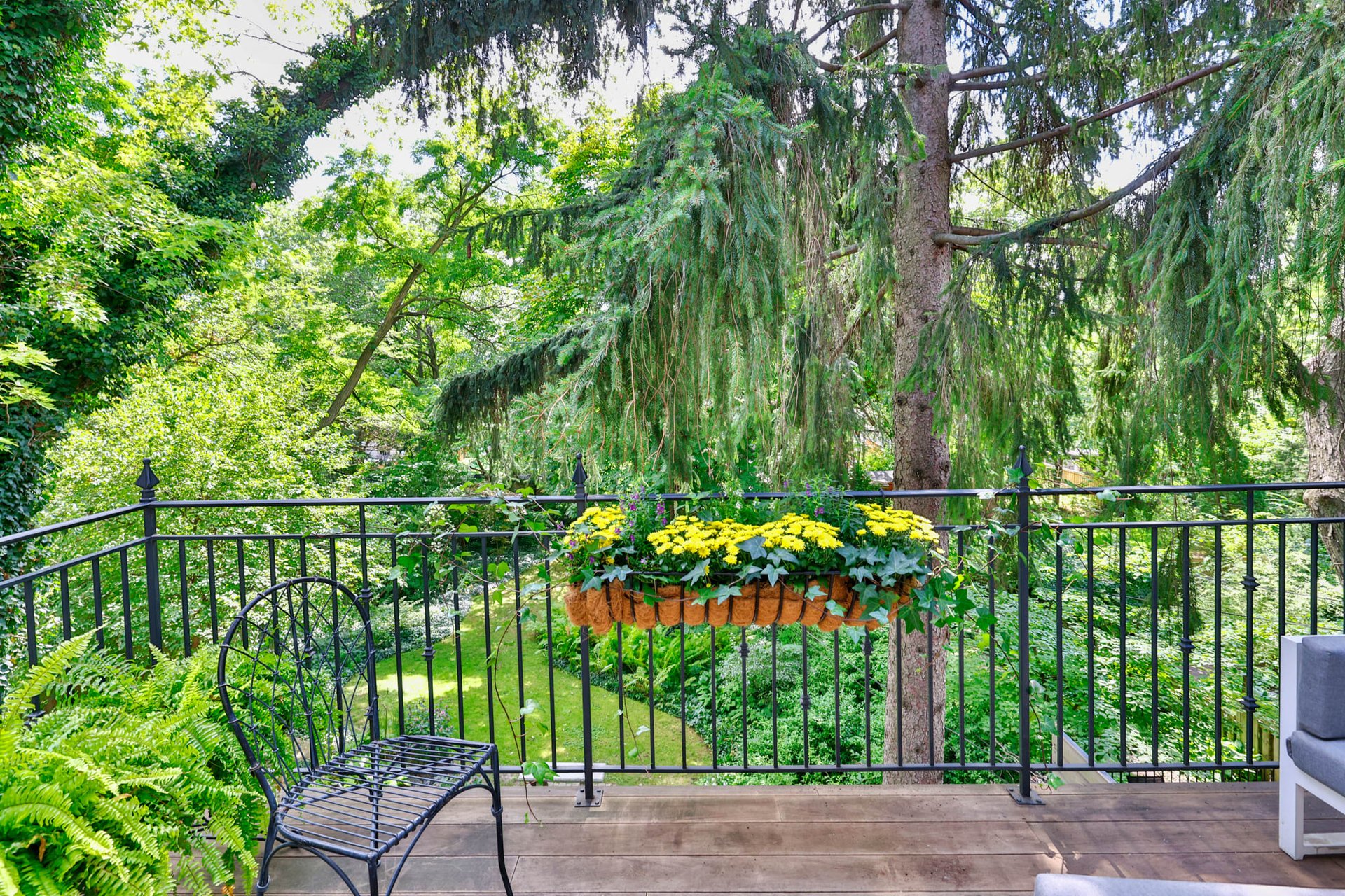Summerhill Serenity