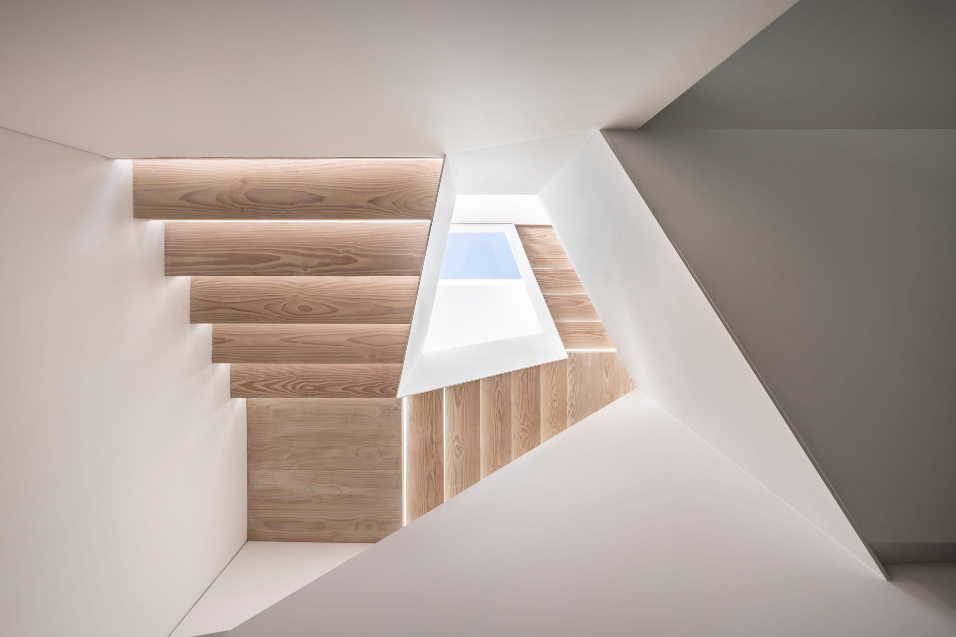 Warm Minimalism Meets Timeless Modern Design