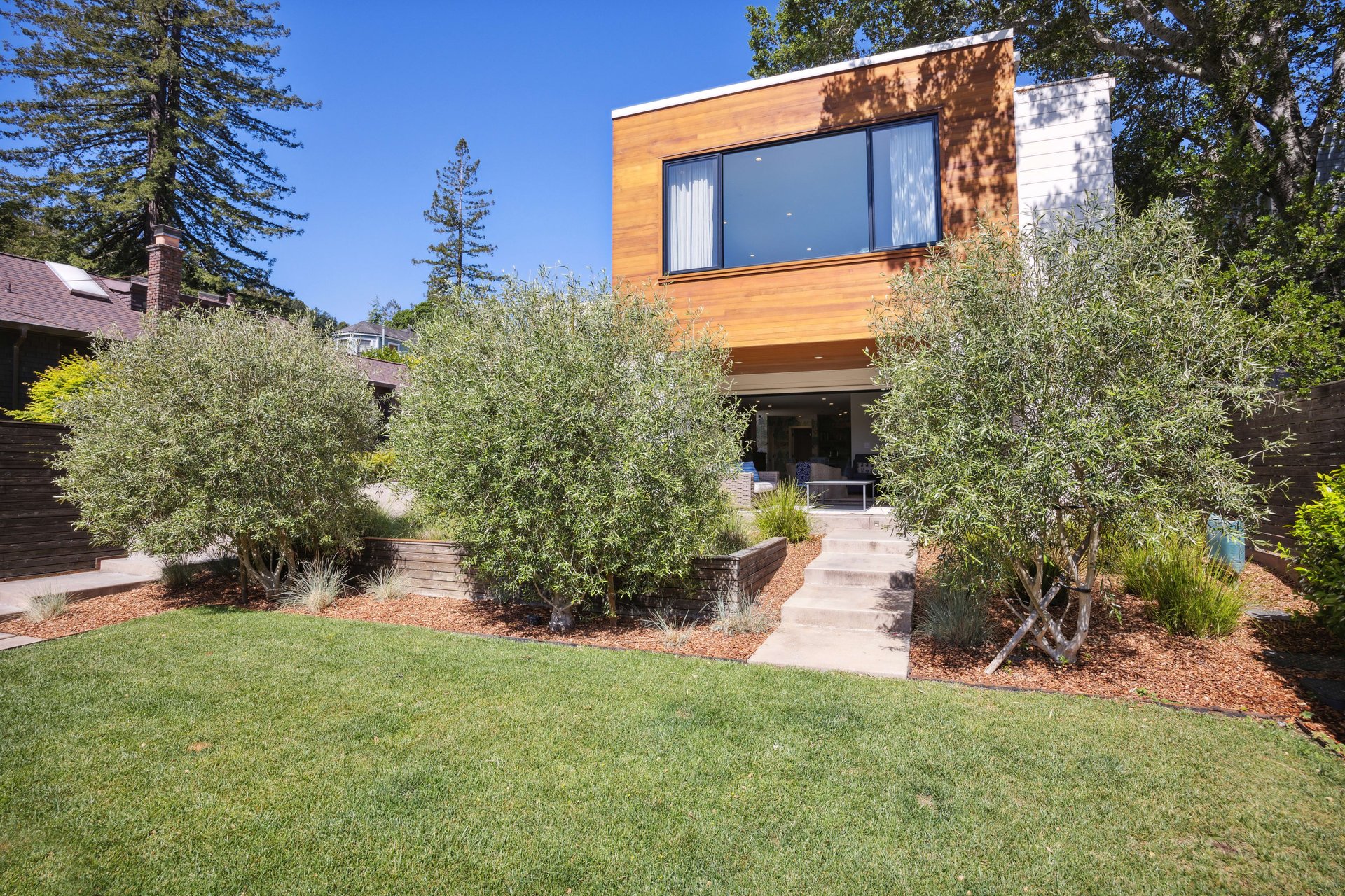 Downtown Mill Valley Contemporary Masterpiece