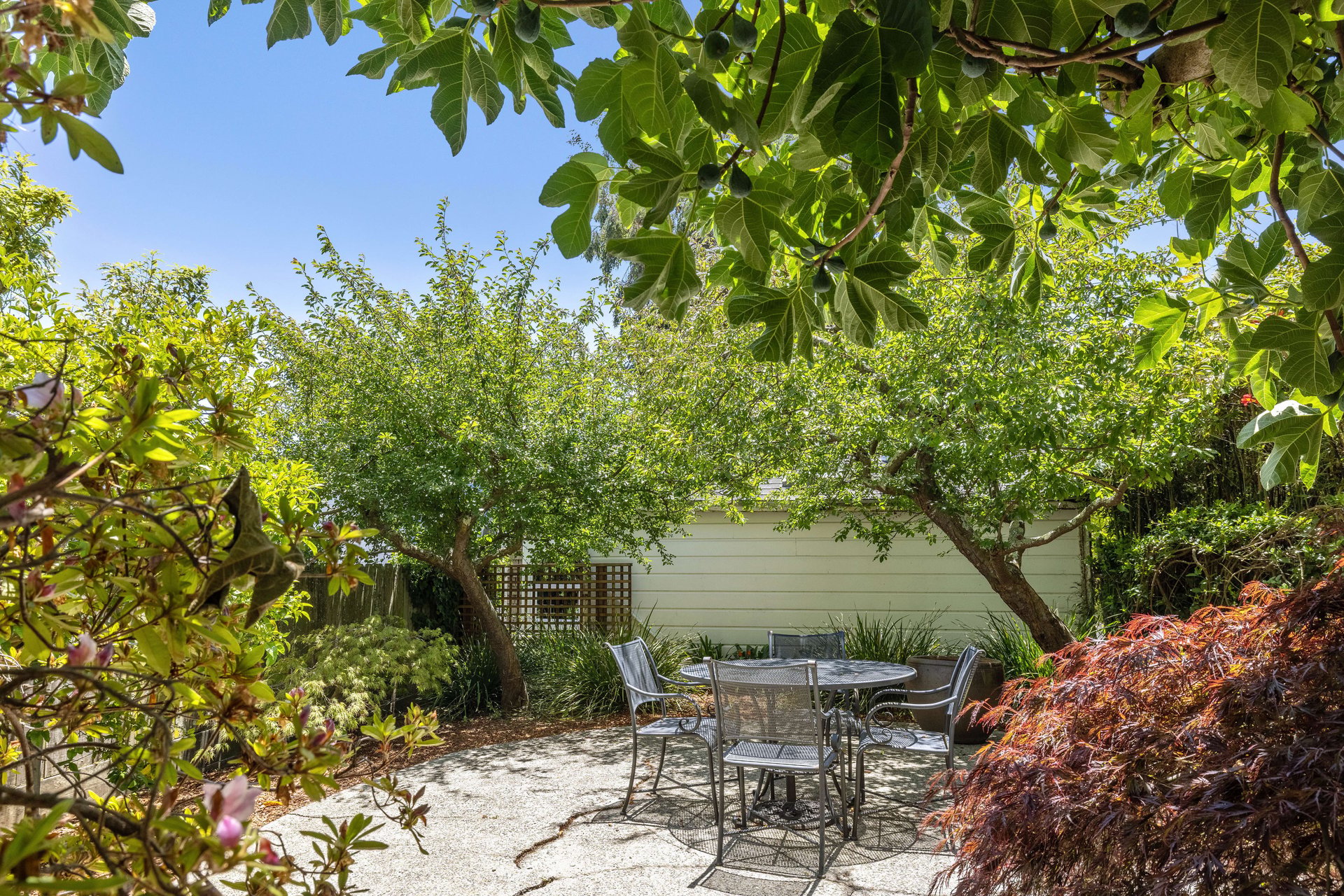 Top-Floor Edwardian in Prime Pacific Heights