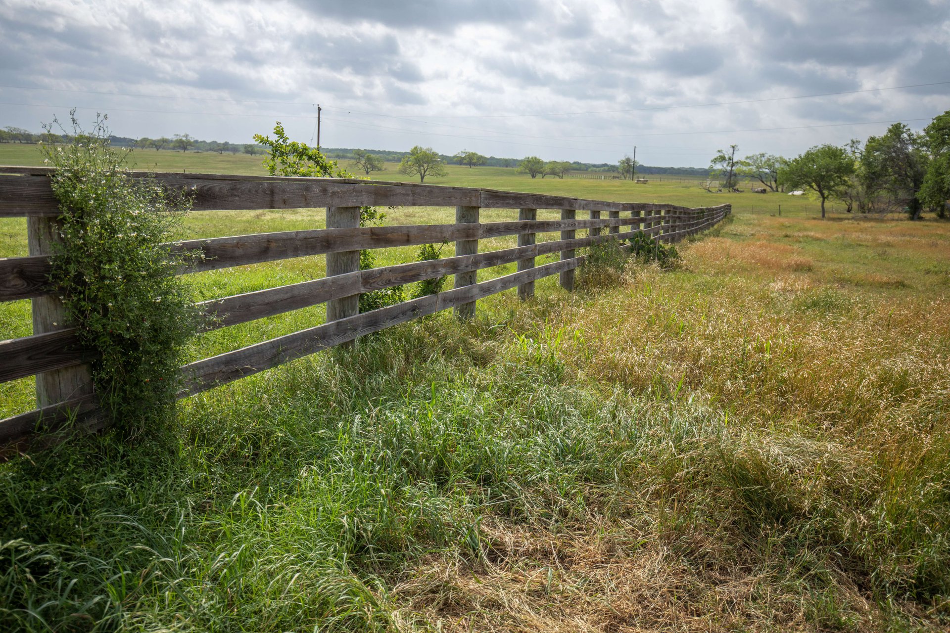 Gorgeous 98.5 Acre Horse Property PLUS           4900 Sq Ft Home