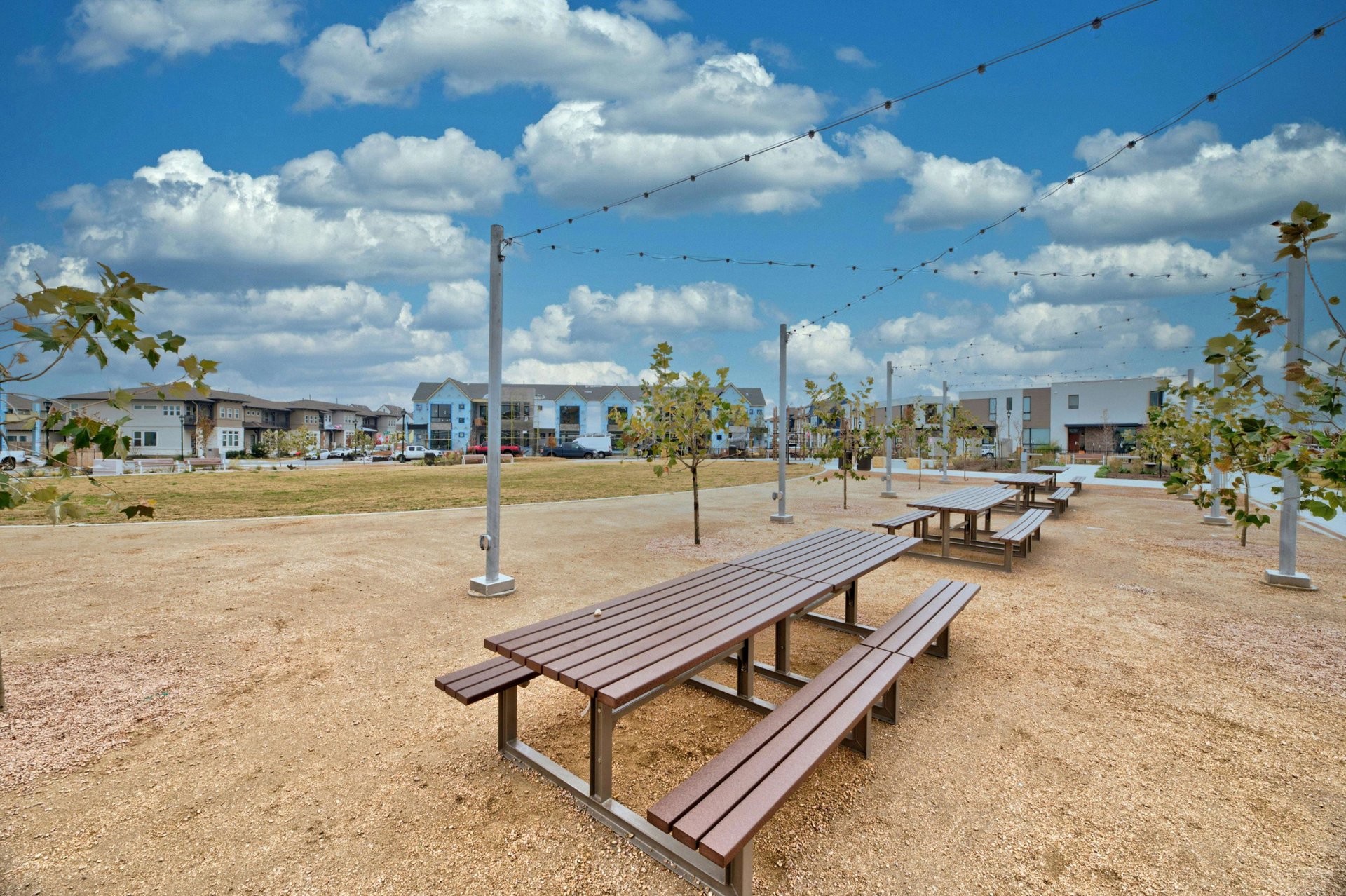 2017 Antone Street 