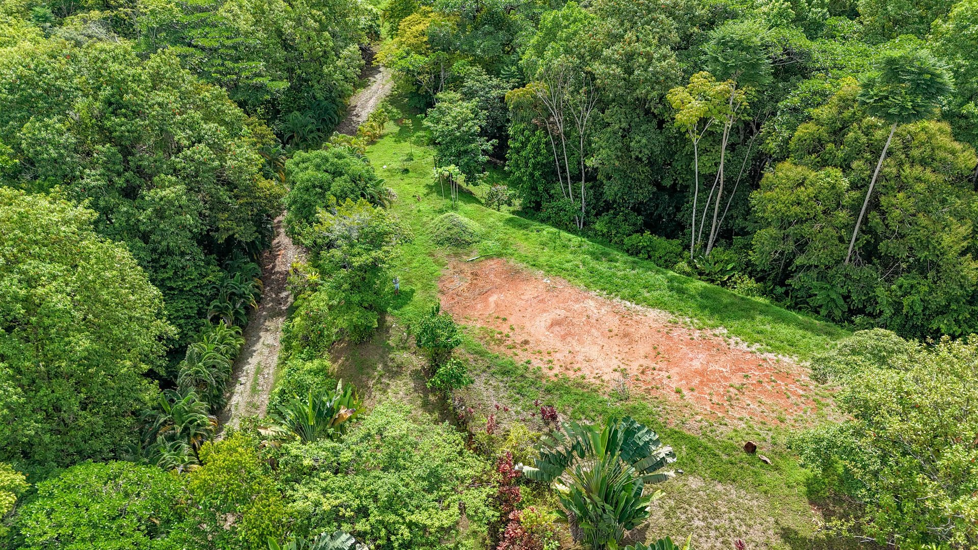 3 Cabins, A restaurant, A 3 Bed House And Multiple Plantels In The Heart Of Ojochal