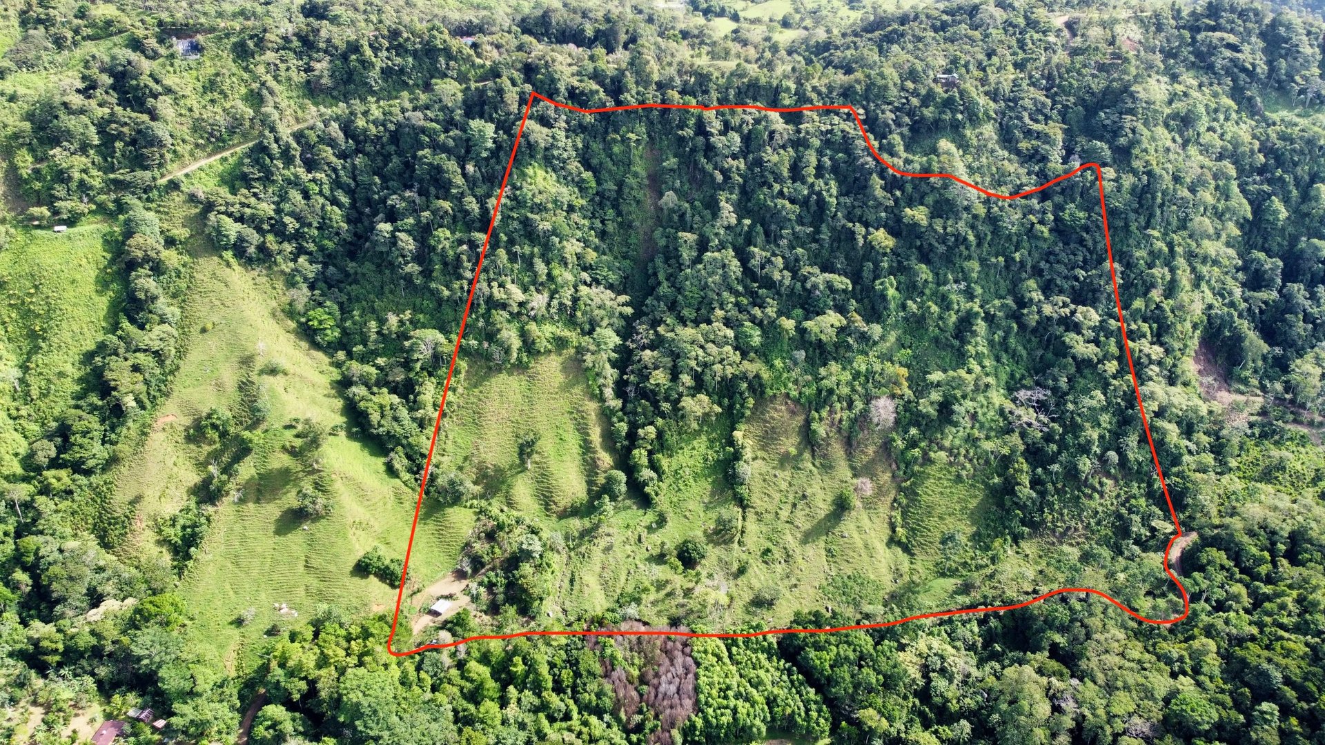 FIRE SALE!! Ocean View Farm in San Luis de Morete, Over 23 Acres