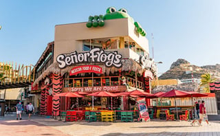 Senor Frog's