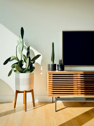 Documents and financial paperwork