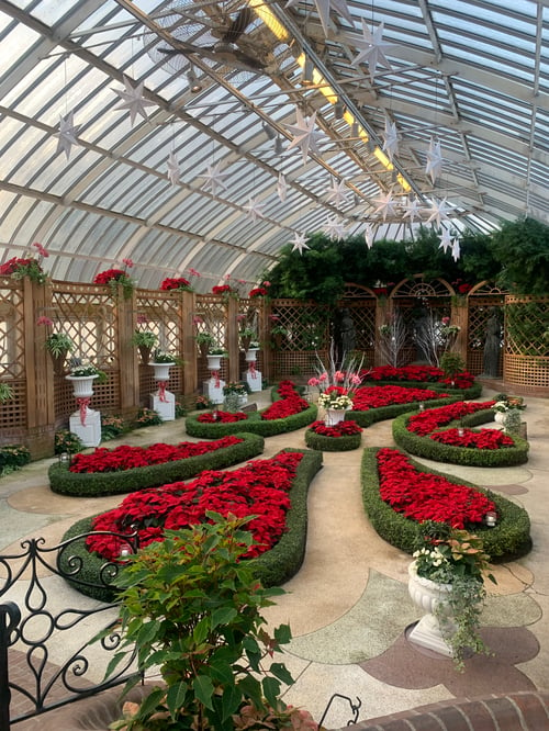 Phipps Conservatory festive holiday lights display