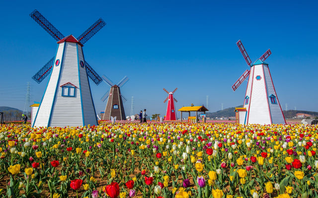 Holland