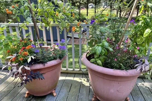 Beechwood Property, photo 16 of 31