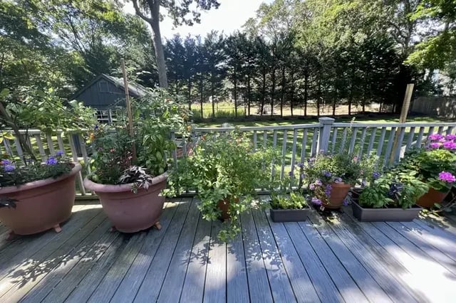 Beechwood Property, photo 18 of 31