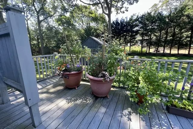 Beechwood Property, photo 25 of 31