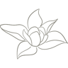 The Magnolia KC Group