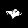 Team Black Bear
