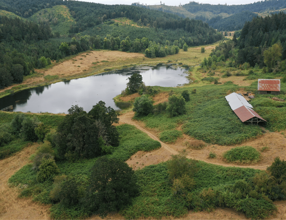 Reasons to List Your Rural Land with Made Out West Land Co.