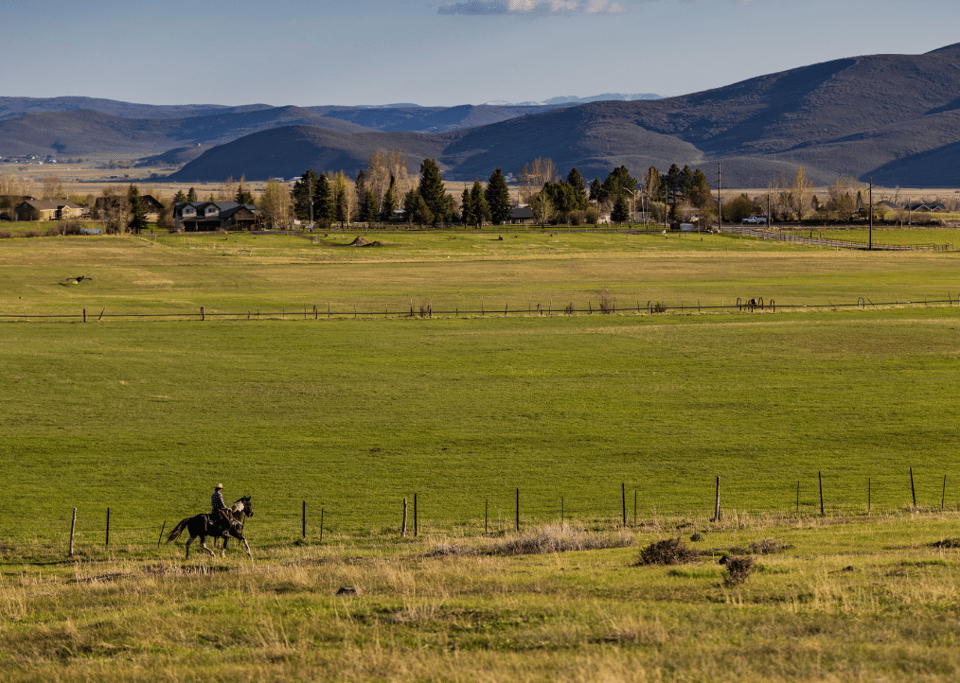Farm / Ranch | Neighborhood Guide | Mark Rodeheaver