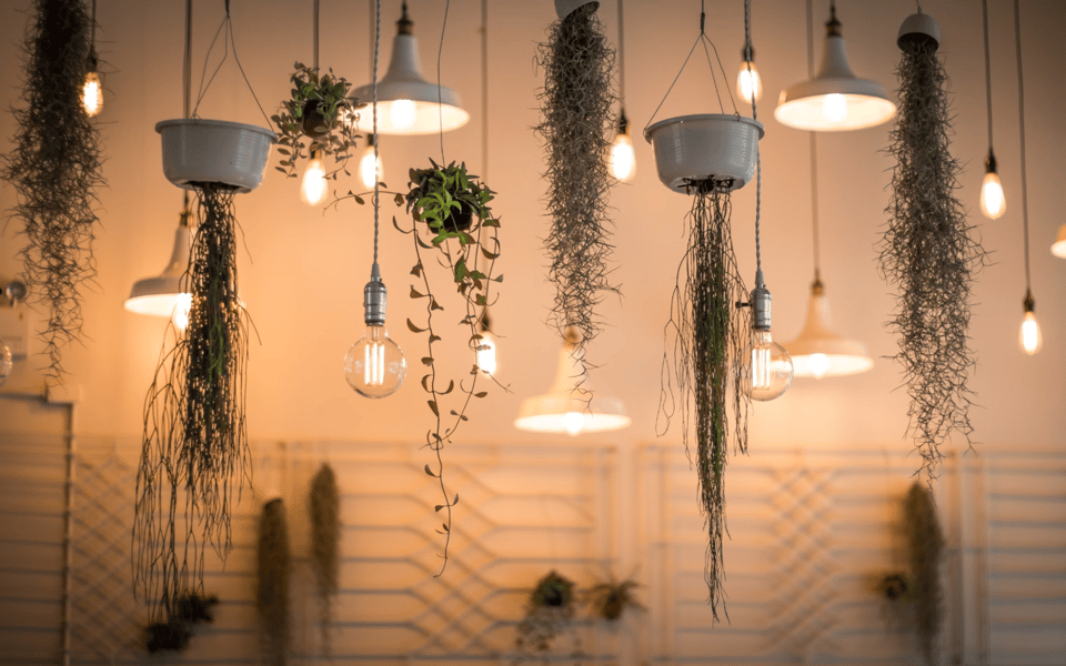 How To Use Lighting To Transform Your Living Space | Blog | Susan & Simon
