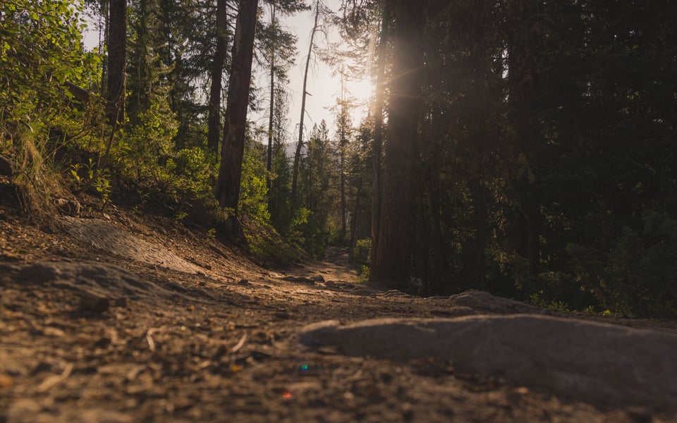 Discover Joy on the Trails at Meyer Ranch