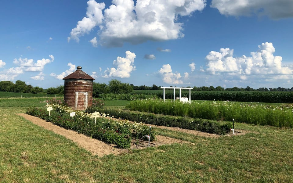 Franklin, IN Real Estate & Neighborhood Guide | Ryan Radecki