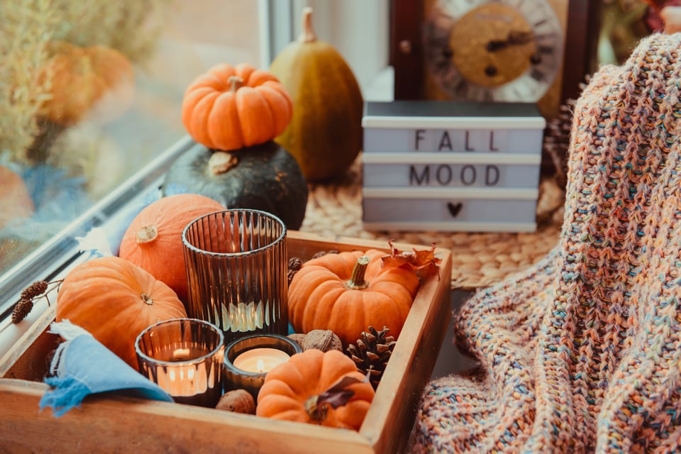 Getting Organized for Fall in Florida – Your Ultimate Guide