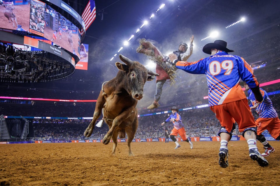 Houston Livestock Show and Rodeo