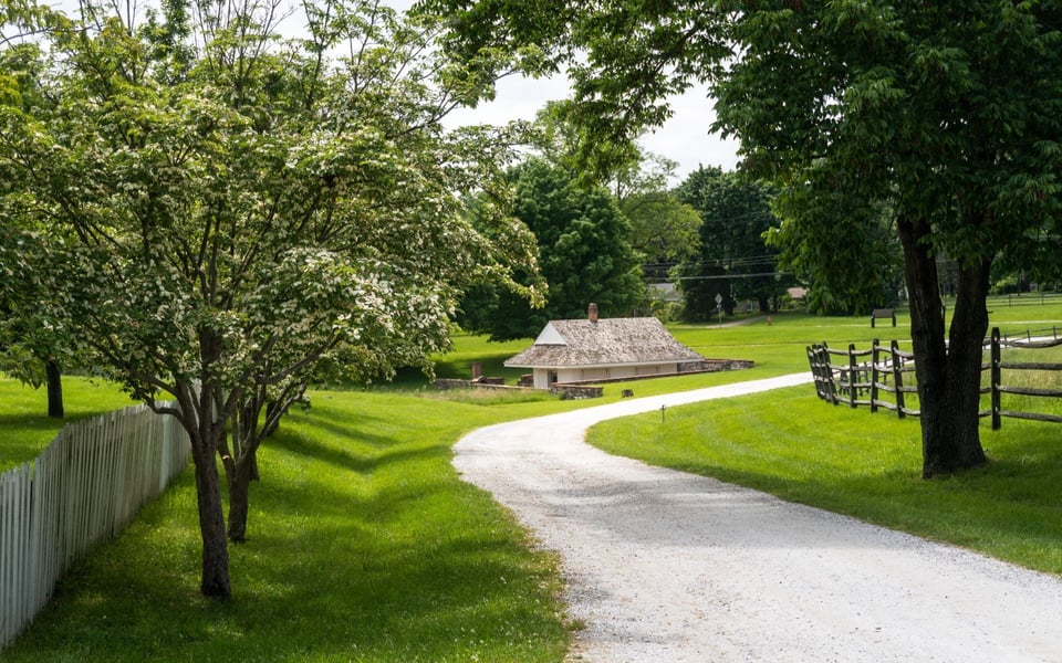 Towson, MD | Neighborhood Guide | Travis Fogle