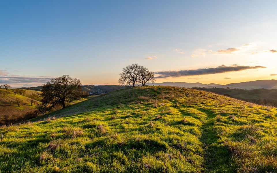 Rolling hills and open land in the East Bay