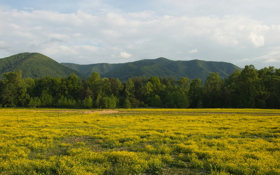 Spring Hill | Community Guide | The LCT Team
