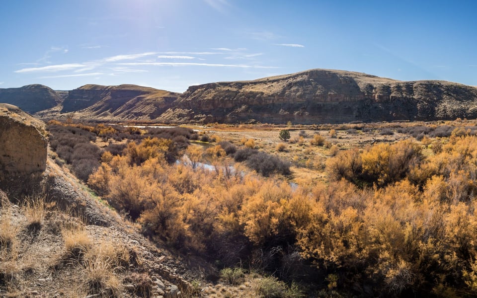 Delta, CO Real Estate Guide | Luxury Homes & Listings
