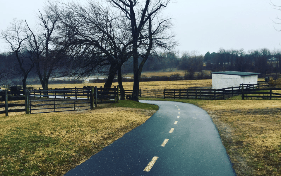 Exploring the Hamptons by Bike | The Agency Hamptons